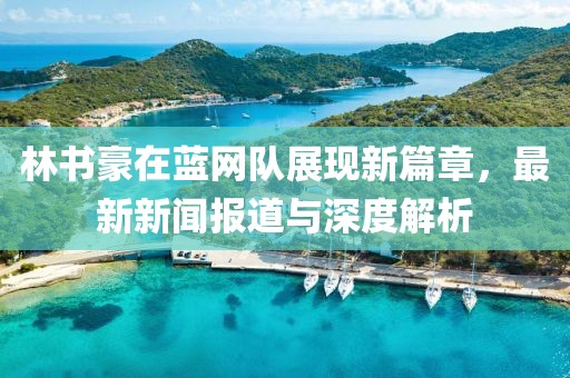 林書豪在藍(lán)網(wǎng)隊(duì)展現(xiàn)新篇章，最新新聞報(bào)道與深度解析