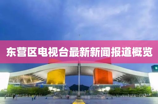 東營區(qū)電視臺最新新聞報道概覽