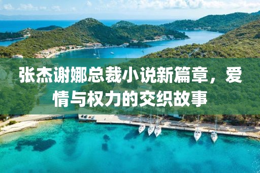 張杰謝娜總裁小說新篇章，愛情與權(quán)力的交織故事
