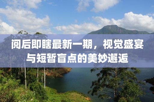 閱后即瞎最新一期，視覺盛宴與短暫盲點(diǎn)的美妙邂逅