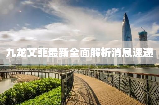 九龍艾菲最新全面解析消息速遞