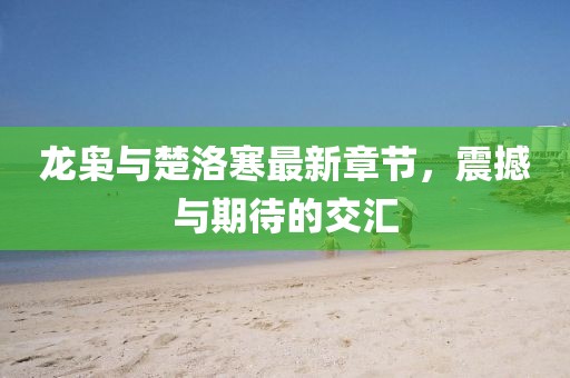 龍梟與楚洛寒最新章節(jié)，震撼與期待的交匯