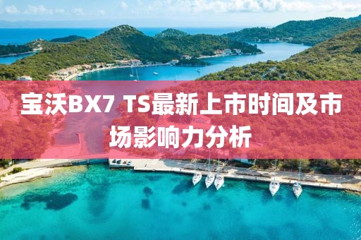 寶沃BX7 TS最新上市時間及市場影響力分析