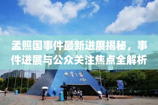 孟照國事件最新進(jìn)展揭秘，事件進(jìn)展與公眾關(guān)注焦點(diǎn)全解析