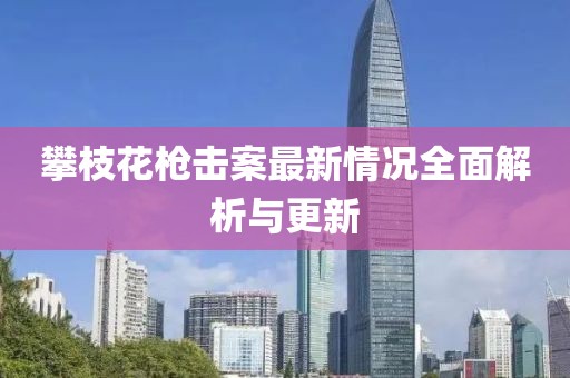 攀枝花槍擊案最新情況全面解析與更新