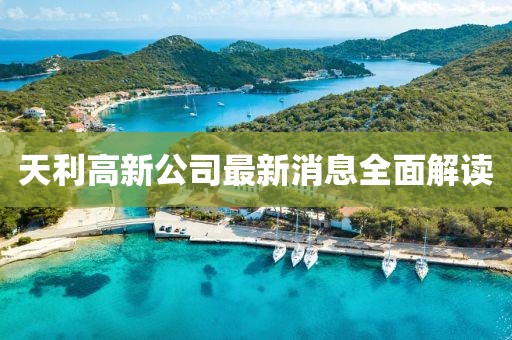 天利高新公司最新消息全面解讀