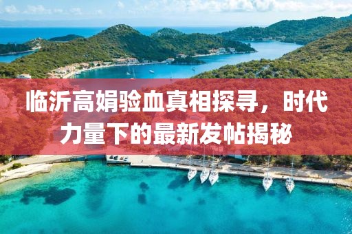 臨沂高娟驗血真相探尋，時代力量下的最新發(fā)帖揭秘