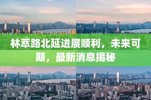 林萃路北延進(jìn)展順利，未來可期，最新消息揭秘