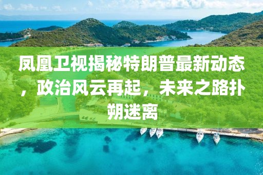 鳳凰衛(wèi)視揭秘特朗普最新動態(tài)，政治風云再起，未來之路撲朔迷離