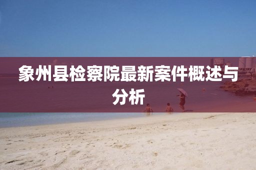 象州縣檢察院最新案件概述與分析