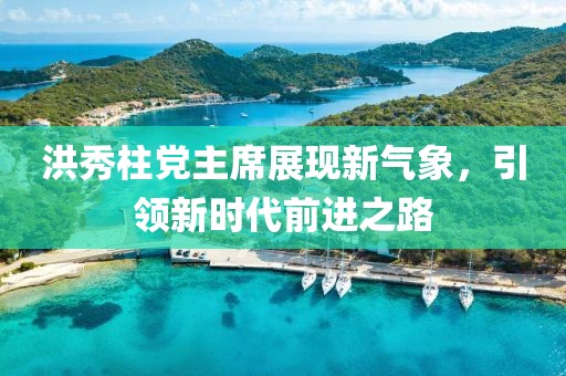 洪秀柱黨主席展現(xiàn)新氣象，引領(lǐng)新時(shí)代前進(jìn)之路
