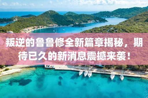 叛逆的魯魯修全新篇章揭秘，期待已久的新消息震撼來襲！