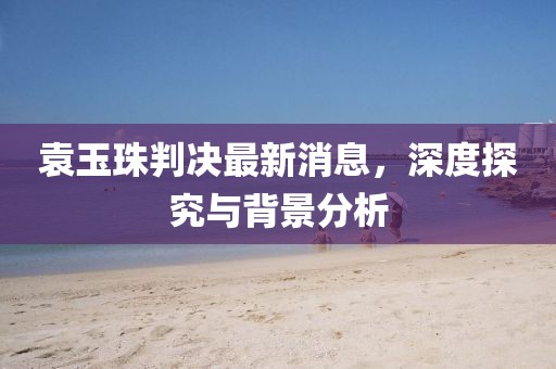 袁玉珠判決最新消息，深度探究與背景分析