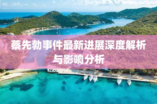 蔡先勃事件最新進(jìn)展深度解析與影響分析