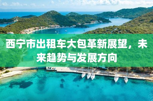 西寧市出租車大包革新展望，未來趨勢與發(fā)展方向