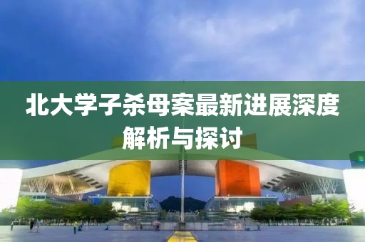 北大學(xué)子殺母案最新進展深度解析與探討