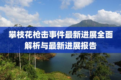攀枝花槍擊事件最新進展全面解析與最新進展報告