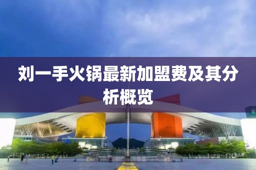 劉一手火鍋?zhàn)钚录用速M(fèi)及其分析概覽