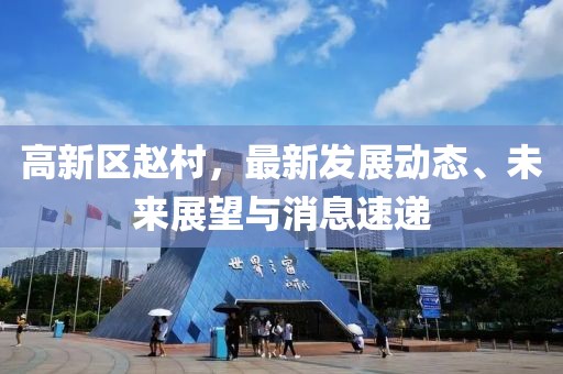 高新區(qū)趙村，最新發(fā)展動(dòng)態(tài)、未來展望與消息速遞