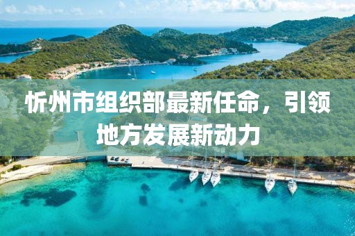忻州市組織部最新任命，引領(lǐng)地方發(fā)展新動(dòng)力