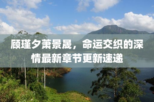 顧瑾夕蕭景晟，命運(yùn)交織的深情最新章節(jié)更新速遞