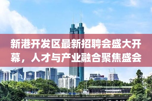 新港開發(fā)區(qū)最新招聘會(huì)盛大開幕，人才與產(chǎn)業(yè)融合聚焦盛會(huì)
