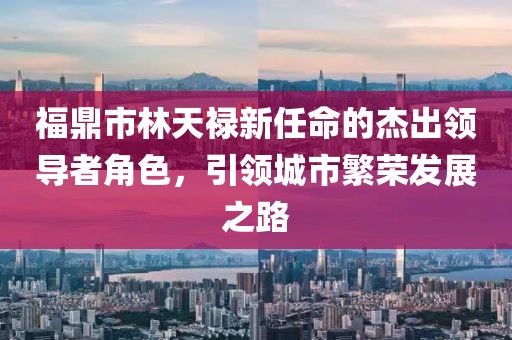 福鼎市林天祿新任命的杰出領(lǐng)導(dǎo)者角色，引領(lǐng)城市繁榮發(fā)展之路