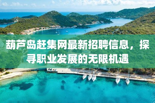 葫蘆島趕集網最新招聘信息，探尋職業(yè)發(fā)展的無限機遇