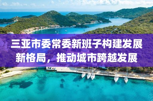 三亞市委常委新班子構(gòu)建發(fā)展新格局，推動城市跨越發(fā)展