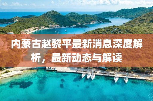 內(nèi)蒙古趙黎平最新消息深度解析，最新動態(tài)與解讀
