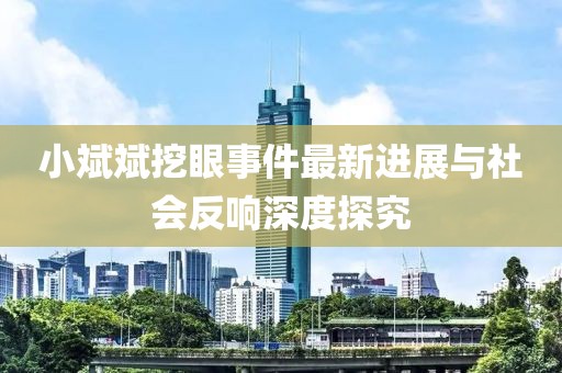 小斌斌挖眼事件最新進(jìn)展與社會(huì)反響深度探究