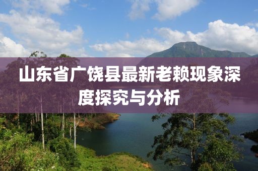 山東省廣饒縣最新老賴現(xiàn)象深度探究與分析