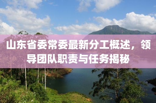 山東省委常委最新分工概述，領(lǐng)導(dǎo)團(tuán)隊(duì)職責(zé)與任務(wù)揭秘