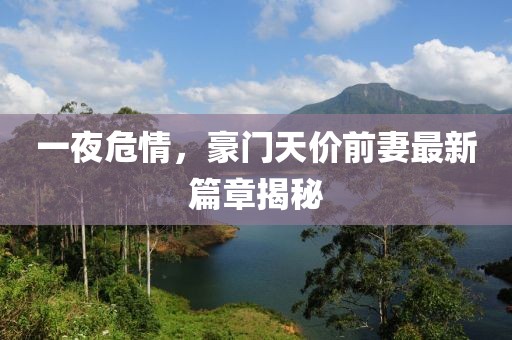 一夜危情，豪門天價(jià)前妻最新篇章揭秘