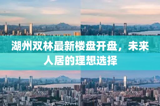 湖州雙林最新樓盤(pán)開(kāi)盤(pán)，未來(lái)人居的理想選擇