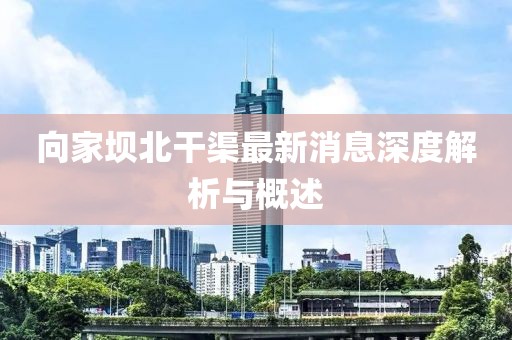 向家壩北干渠最新消息深度解析與概述