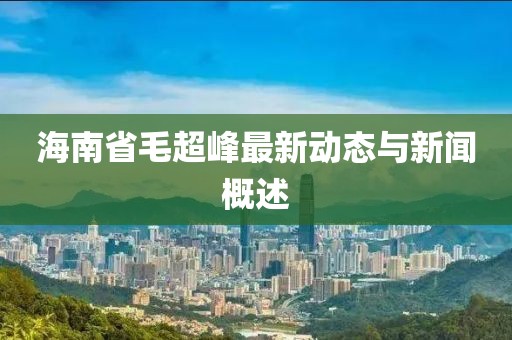 海南省毛超峰最新動態(tài)與新聞概述