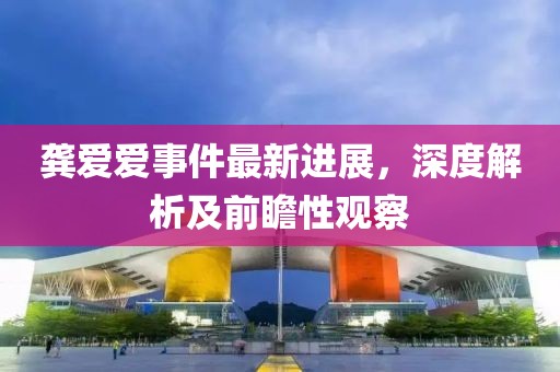 龔愛(ài)愛(ài)事件最新進(jìn)展，深度解析及前瞻性觀察