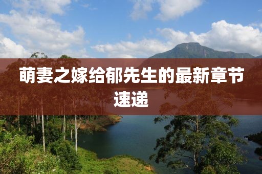 萌妻之嫁給郁先生的最新章節(jié)速遞
