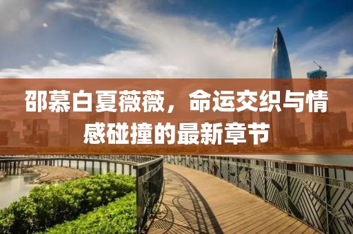 邵慕白夏薇薇，命運(yùn)交織與情感碰撞的最新章節(jié)