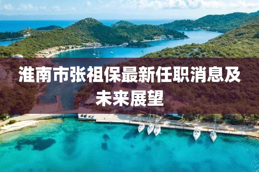淮南市張祖保最新任職消息及未來(lái)展望