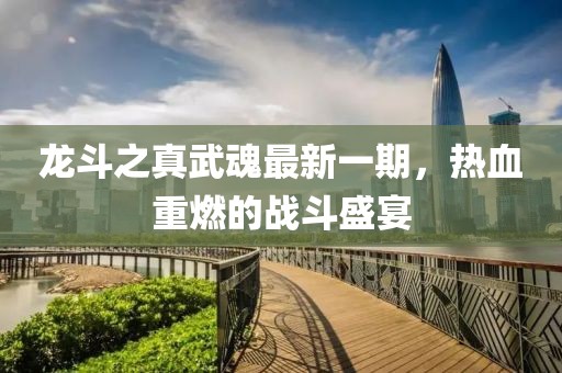 龍斗之真武魂最新一期，熱血重燃的戰(zhàn)斗盛宴