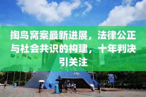 掏鳥窩案最新進展，法律公正與社會共識的構建，十年判決引關注