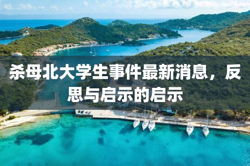 殺母北大學(xué)生事件最新消息，反思與啟示的啟示