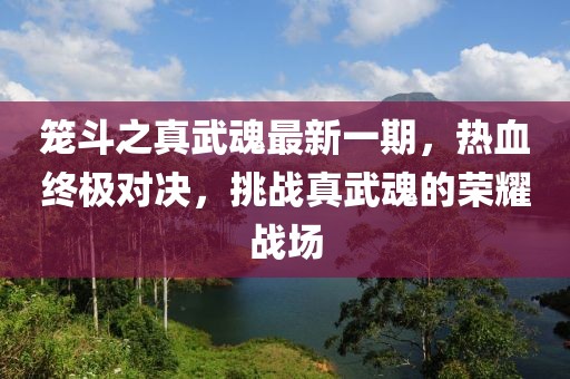 籠斗之真武魂最新一期，熱血終極對決，挑戰(zhàn)真武魂的榮耀戰(zhàn)場