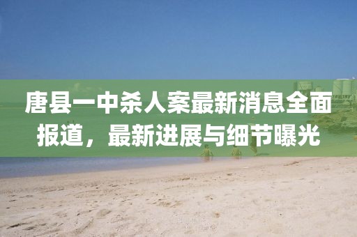 唐縣一中殺人案最新消息全面報道，最新進展與細節(jié)曝光