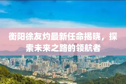 衡陽(yáng)徐友灼最新任命揭曉，探索未來(lái)之路的領(lǐng)航者