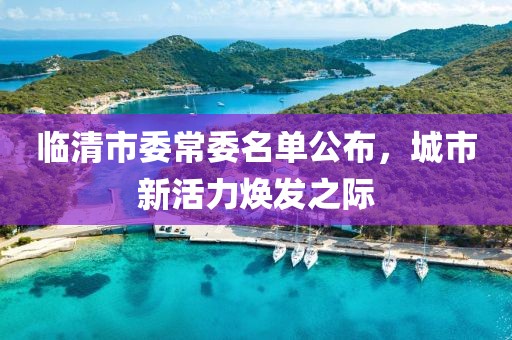 臨清市委常委名單公布，城市新活力煥發(fā)之際