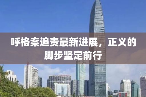 呼格案追責最新進展，正義的腳步堅定前行