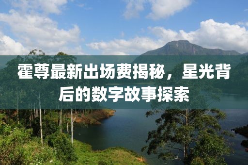 霍尊最新出場(chǎng)費(fèi)揭秘，星光背后的數(shù)字故事探索